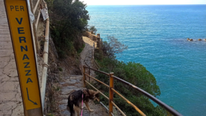 Traversata delle Cinque Terre