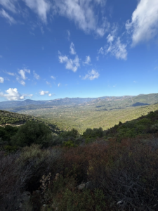 Monte Acuto